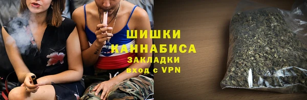 хмурый Бронницы
