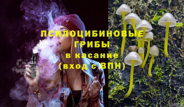 наркотики Бородино