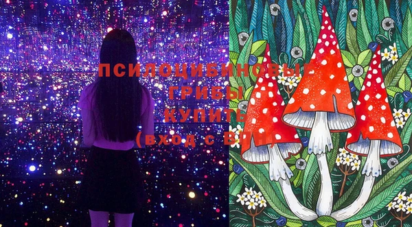 хмурый Бронницы