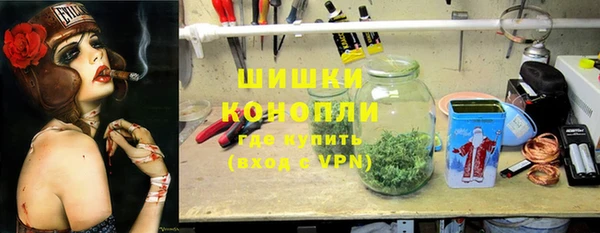 ГАЛЛЮЦИНОГЕННЫЕ ГРИБЫ Тавда
